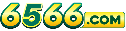 6566.COM